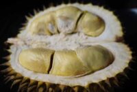 Khasiat Biji Durian: Sumber Energi dan Nutrisi Penting yang Sering Diabaikan (Foto: pixabay)