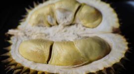 Khasiat Biji Durian: Sumber Energi dan Nutrisi Penting yang Sering Diabaikan (Foto: pixabay)