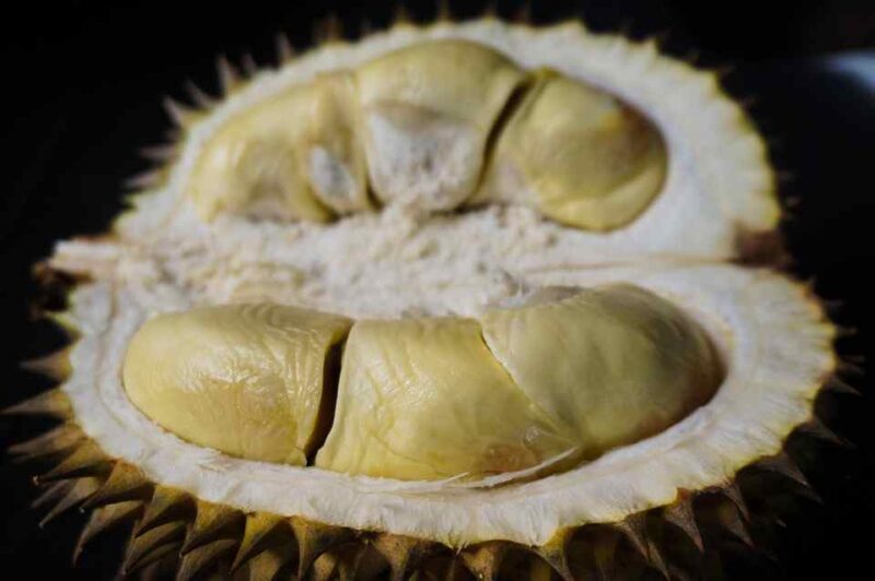 Khasiat Biji Durian: Sumber Energi dan Nutrisi Penting yang Sering Diabaikan (Foto: pixabay)