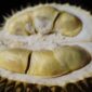 Khasiat Biji Durian: Sumber Energi dan Nutrisi Penting yang Sering Diabaikan (Foto: pixabay)