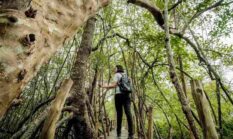 Kemenpar Dorong Pariwisata Berkelanjutan untuk Tingkatkan Kualitas Destinasi