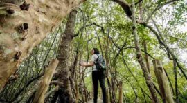 Kemenpar Dorong Pariwisata Berkelanjutan untuk Tingkatkan Kualitas Destinasi (Foto: medcom)