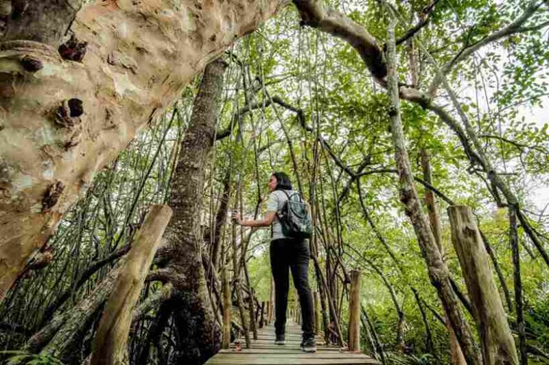 Kemenpar Dorong Pariwisata Berkelanjutan untuk Tingkatkan Kualitas Destinasi (Foto: medcom)