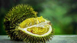 6 Manfaat Buah Durian untuk Kesehatan: dari Jaga Pencernaan hingga Tulang Kuat (Foto: pixabay)