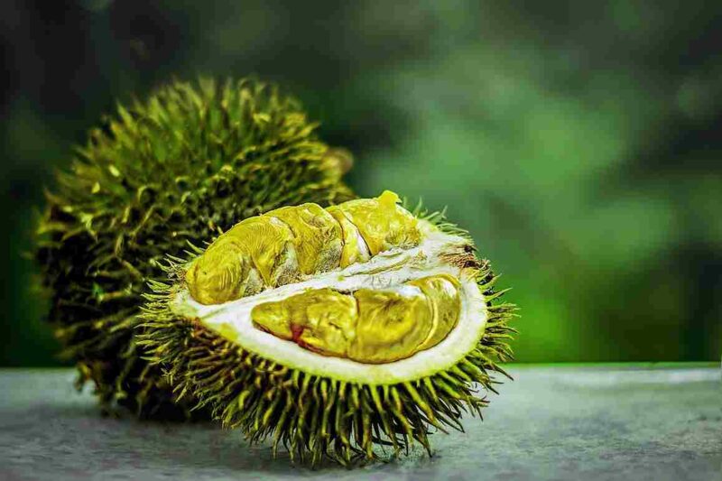 6 Manfaat Buah Durian untuk Kesehatan: dari Jaga Pencernaan hingga Tulang Kuat (Foto: pixabay)
