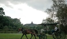 Widiyanti Putri Wardhana Ungkap Tren Wisata Masa Depan: Budaya, Alam, dan Wellness