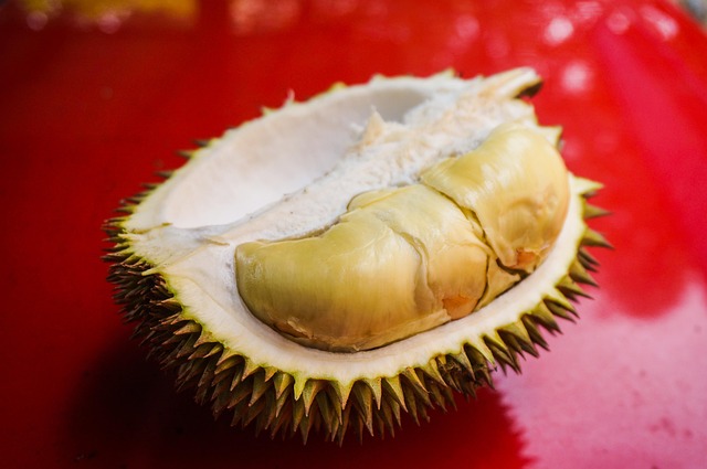 Mengupas Tuntas Manfaat Nutrisi Durian: Dari Energi Hingga Kesehatan Hormonal (Foto: pixabay)