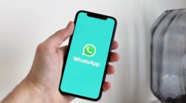 Foto:Tips Praktis! Tujuh Cara Membuat WhatsApp Terlihat Offline Tanpa Diketahui Kontak Lain (Foto: pixabay)
