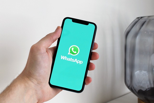 Foto:Tips Praktis! Tujuh Cara Membuat WhatsApp Terlihat Offline Tanpa Diketahui Kontak Lain (Foto: pixabay)