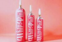 Ilustrasi. Bahaya Tersembunyi di Balik Tren Whip Pink yang Viral di Media Sosial (Foto: Instagram/@whippink.co/ rri)