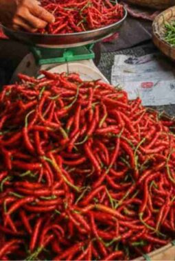 Tren Harga Pangan di Sumatra Melandai, Pemulihan Jalur Distribusi Jadi Kunci