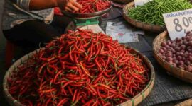 Tren Harga Pangan di Sumatra Melandai, Pemulihan Jalur Distribusi Jadi Kunci