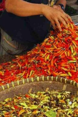 Bapanas Bentuk Satgas Saber Pangan, Awasi Spekulan Harga Menjelang Ramadan