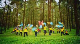 Kesegaran Hutan Pinus Limpakuwus (Foto: visitjawatengah)
