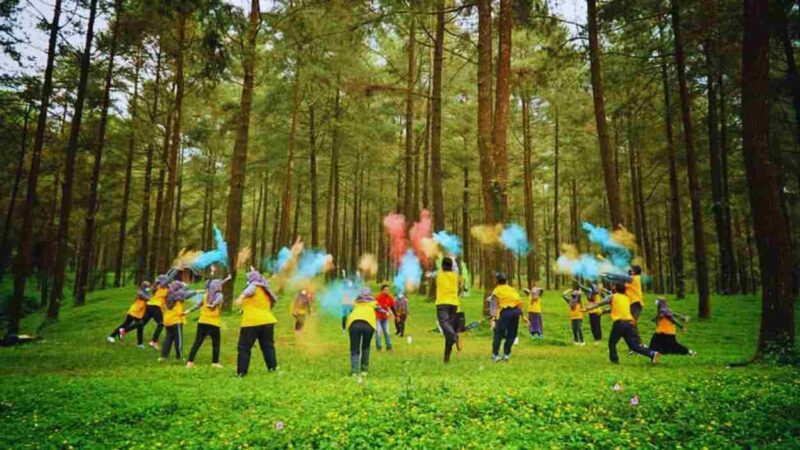Kesegaran Hutan Pinus Limpakuwus (Foto: visitjawatengah)
