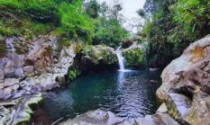 Menemukan Kedamaian di Telaga Sunyi, Ceruk Jernih di Balik Rimbun Baturraden