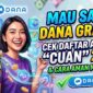 Mau Saldo DANA Gratis? Cek Daftar Aplikasi 