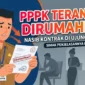 Ilustrasi PPPK Terancam Dirumahkan. Gemini AI