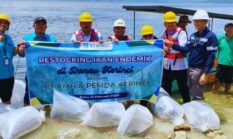 Langkah Nyata Jaga Ekosistem, Monadi Bersama PT KMH Lepas Ribuan Benih Ikan di Danau Kerinci