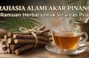 Rahasia Alami Akar Pinang, Ramuan Herbal untuk Vitalitas Pria