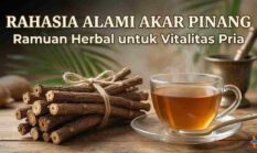 Rahasia Alami Akar Pinang, Ramuan Herbal untuk Vitalitas Pria