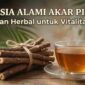 Rahasia Alami Akar Pinang, Ramuan Herbal untuk Vitalitas Pria