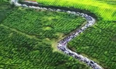 Kerinci Targetkan 100 Ribu Wisatawan saat Libur Lebaran 2026