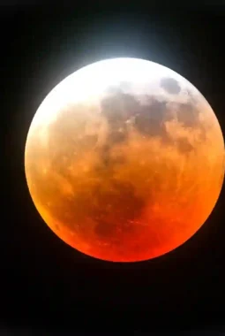 Fenomena Pink Moon April 2026: Jadwal, Fakta, dan Maknanya