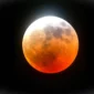 Ilustrasi blood moon. (AI Generated Image)