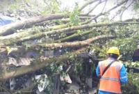 Pohon tumbang menimpa bangunan kafe BSS Food Market di Jalan Taman Cibeunying Utara, Kota Bandung, Jumat (3/4/2026).(Kompas.com)
