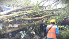 Pohon tumbang menimpa bangunan kafe BSS Food Market di Jalan Taman Cibeunying Utara, Kota Bandung, Jumat (3/4/2026).(Kompas.com)