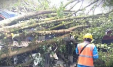 Hujan Es Guyur Bandung, Tanda Pancaroba Picu Cuaca Ekstrem