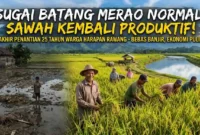 Ilustrasi Harapan Baru Warga Hamparan Rawang Setelah 25 Tahun Terperangkap Banjir. Gemini AI