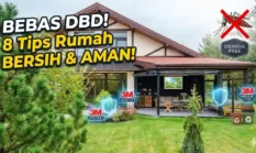 Usir Nyamuk DBD! 8 Tips Merawat Rumah Agar Keluarga Tetap Sehat