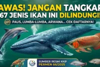 Ilustrasi - 67 Ikan yang Dilindungi di Indonesia.
