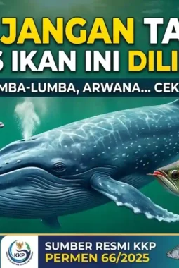 67 Ikan yang Dilindungi di Indonesia: Cek Daftar Lengkapnya