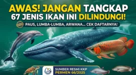 Ilustrasi - 67 Ikan yang Dilindungi di Indonesia.