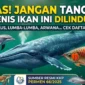 Ilustrasi - 67 Ikan yang Dilindungi di Indonesia.
