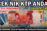 Ilustrasi - 11 Ribu Nama Dicoret! Segera Cek Status Bansos PKH & BPNT Tahap 2 Anda Pakai NIK.