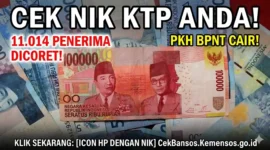 Ilustrasi - 11 Ribu Nama Dicoret! Segera Cek Status Bansos PKH & BPNT Tahap 2 Anda Pakai NIK.