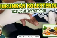 Ilustrasi Cek Kolesterol. Cara Alami Turunkan Kolesterol ala dr. Zaidul Akbar.