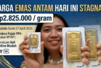 Ilustrasi - Pedagang Memperlihatkan Emas Antam Batangan.