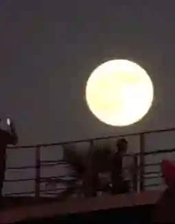 Pink Moon 1 April 2026: Waktu Terbaik dan Cara Menyaksikannya