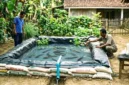 Ilustrasi - Kolam Ikan Karung Tanpa Semen.