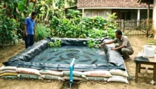 Ilustrasi - Kolam Ikan Karung Tanpa Semen.