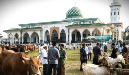 100 Quotes Idul Adha 2026 tentang Keikhlasan dan Pengorbanan Hidup