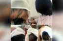 Tangkapan layar - Sejumlah siswi SMKN 2 Garut menangis usai terkena razia pemotongan rambut berwarna yang dilakukan pihak sekolah. Video tersebut kemudian viral di media sosial. (kompas.com)