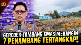 Kolase - Polda Jambi Ringkus 7 Penambang Emas Ilegal di Merangin, Polisi Buru Sang Pemodal.