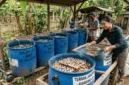 Hewan yang Bisa Diternak di Drum Bekas dengan Modal Minim. Foto: Gemini