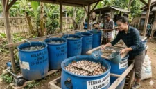 Hewan yang Bisa Diternak di Drum Bekas dengan Modal Minim. Foto: Gemini